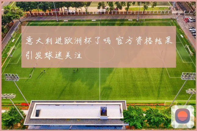 意大利进欧洲杯了吗 官方资格结果引发球迷关注