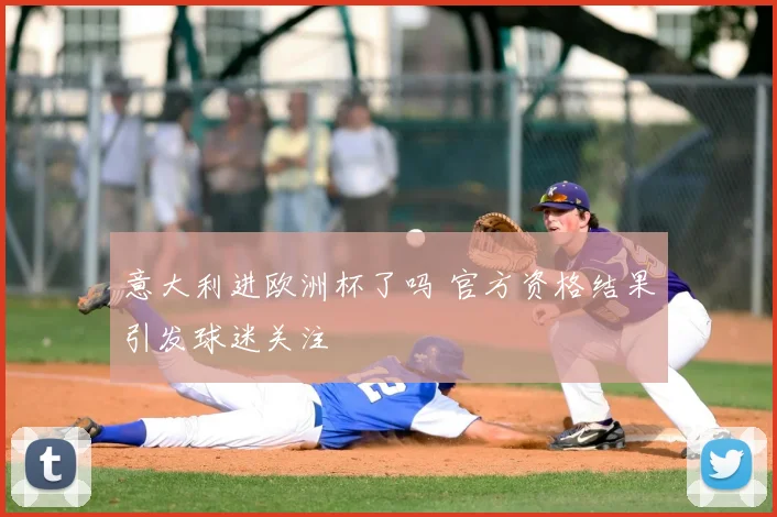 意大利进欧洲杯了吗 官方资格结果引发球迷关注